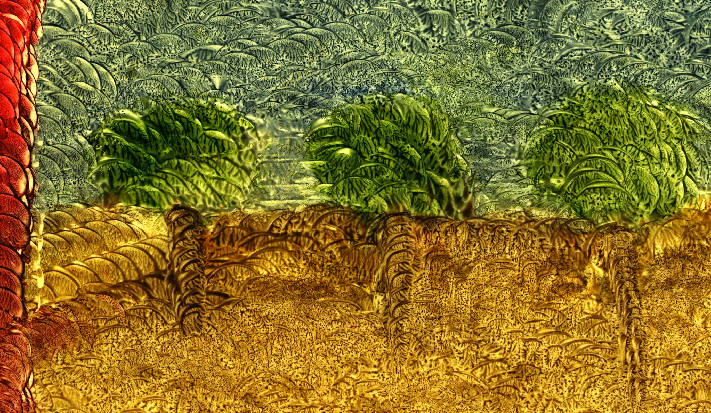 Arte Multidimensional